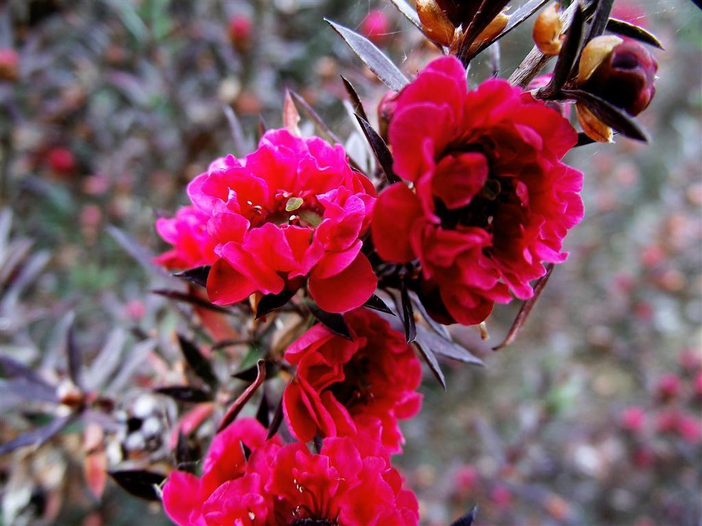 Vila Joaninha Santo Antonio da Serra 外观 照片